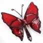 Preview: Schmetterling in Rot