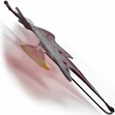 Fledermaus in Rot