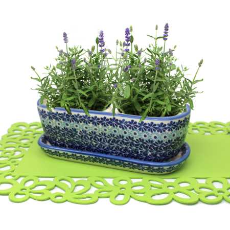 Kleine Bonsai-Schale 27 cm mit Untersetzer