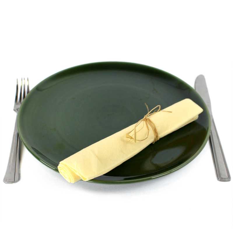 großer flacher teller  mit durchmesser von 24 cm in grün