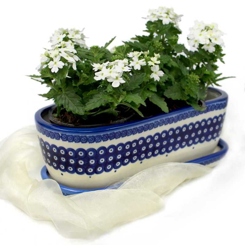 Kleine Bonsai-Schale 27 cm mit Untersetzer