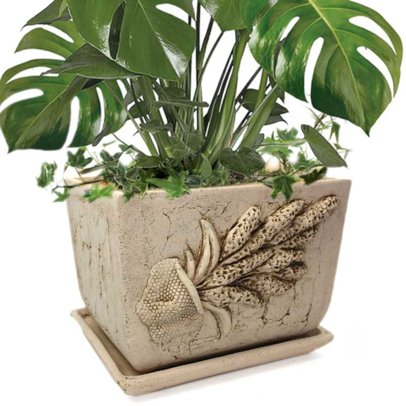 groß Bonsai-Schale 29 cm mit Untersetzer